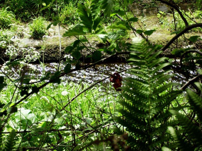 Hide & Seek Rivers