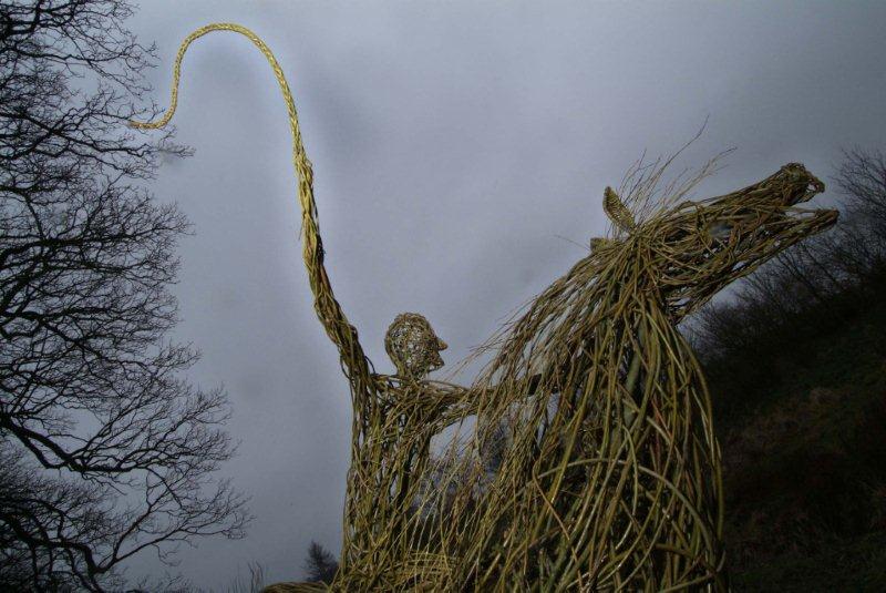 Willow at Wycoller