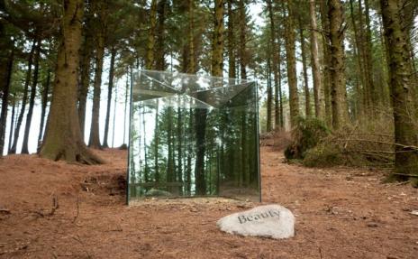 Bowland Revealed
