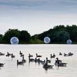 Temporary Art Installations