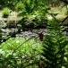 Hide & Seek Rivers