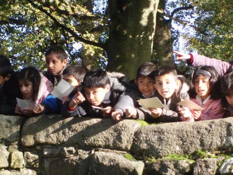 Creative Learning Consultancy