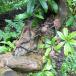Outdoor Learning: Big Bold Art