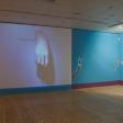 Gallery & Exhibitions